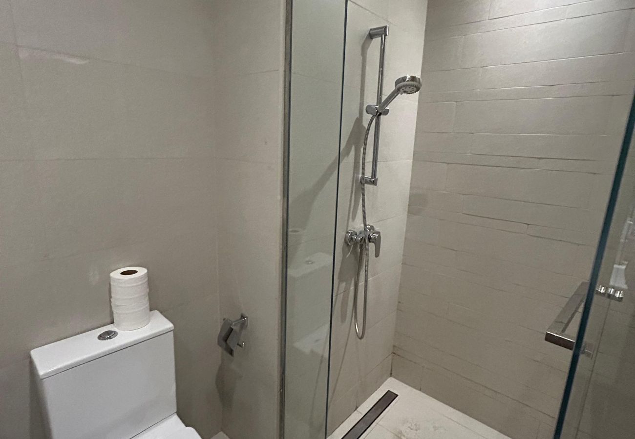 Studio in Dubai -  Elegant Fully Furnished Studio in Azizi Riviera